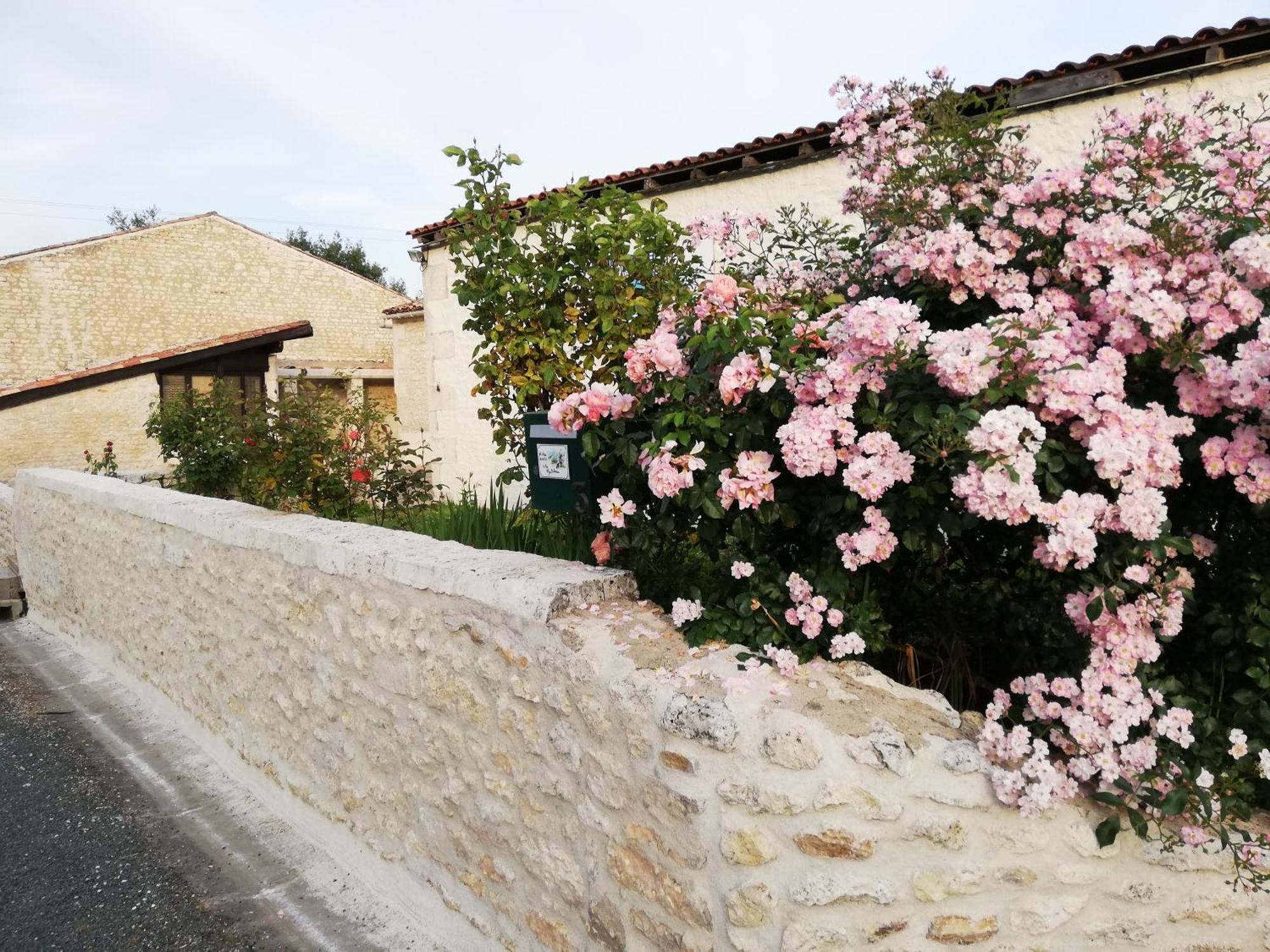 Gites Chez Belliveau Meursac Kültér fotó