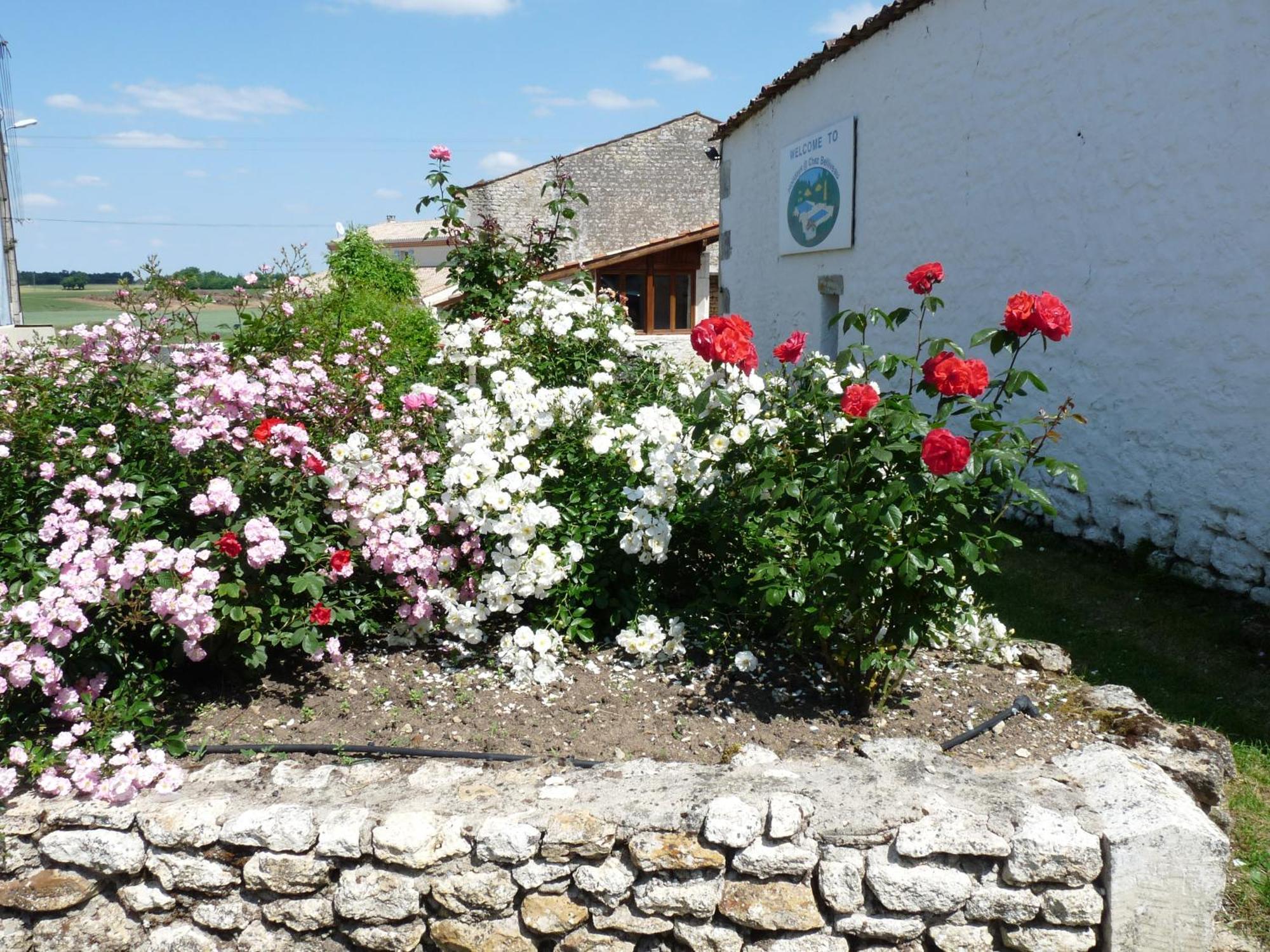 Gites Chez Belliveau Meursac Kültér fotó