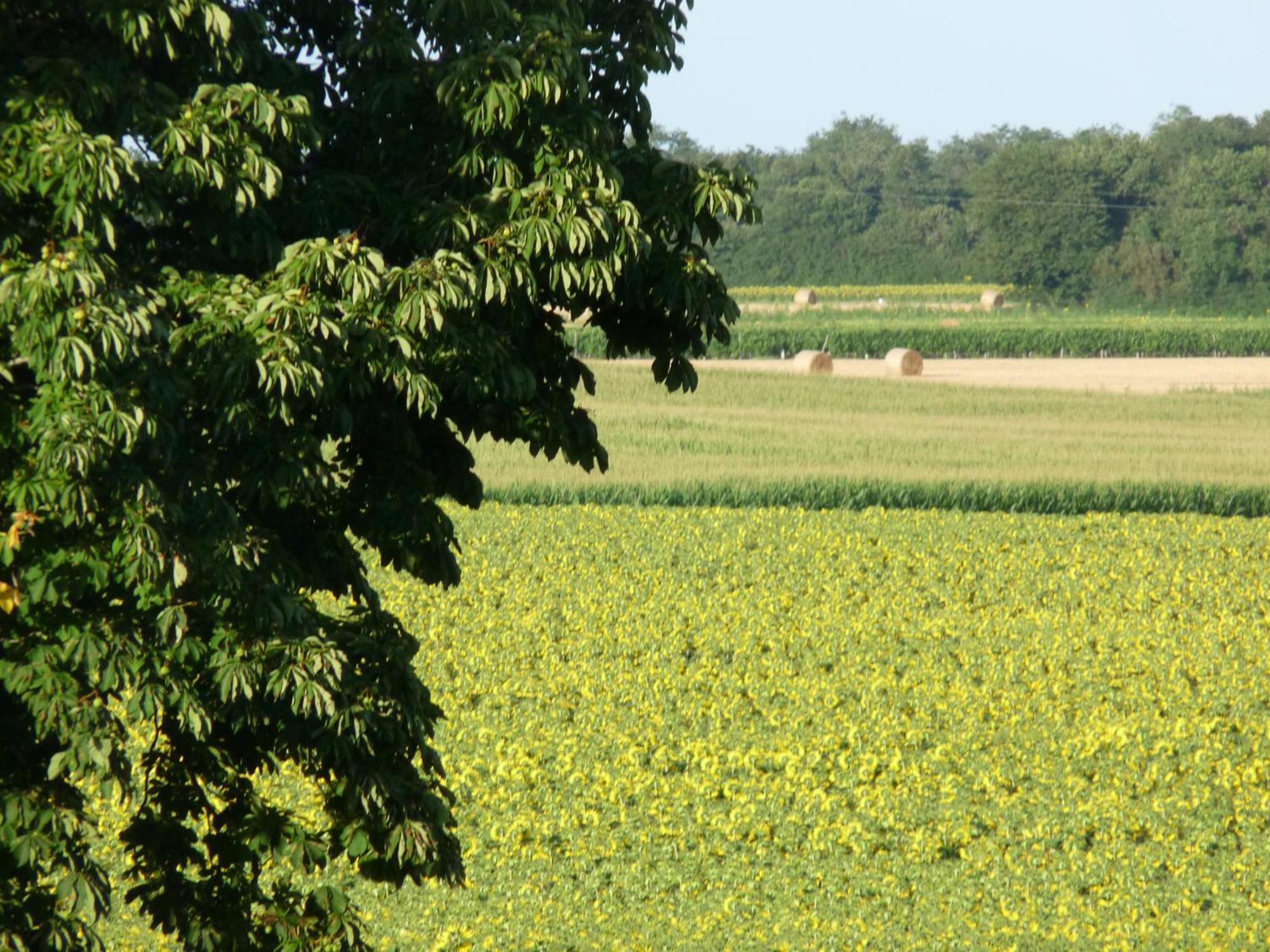 Gites Chez Belliveau Meursac Kültér fotó