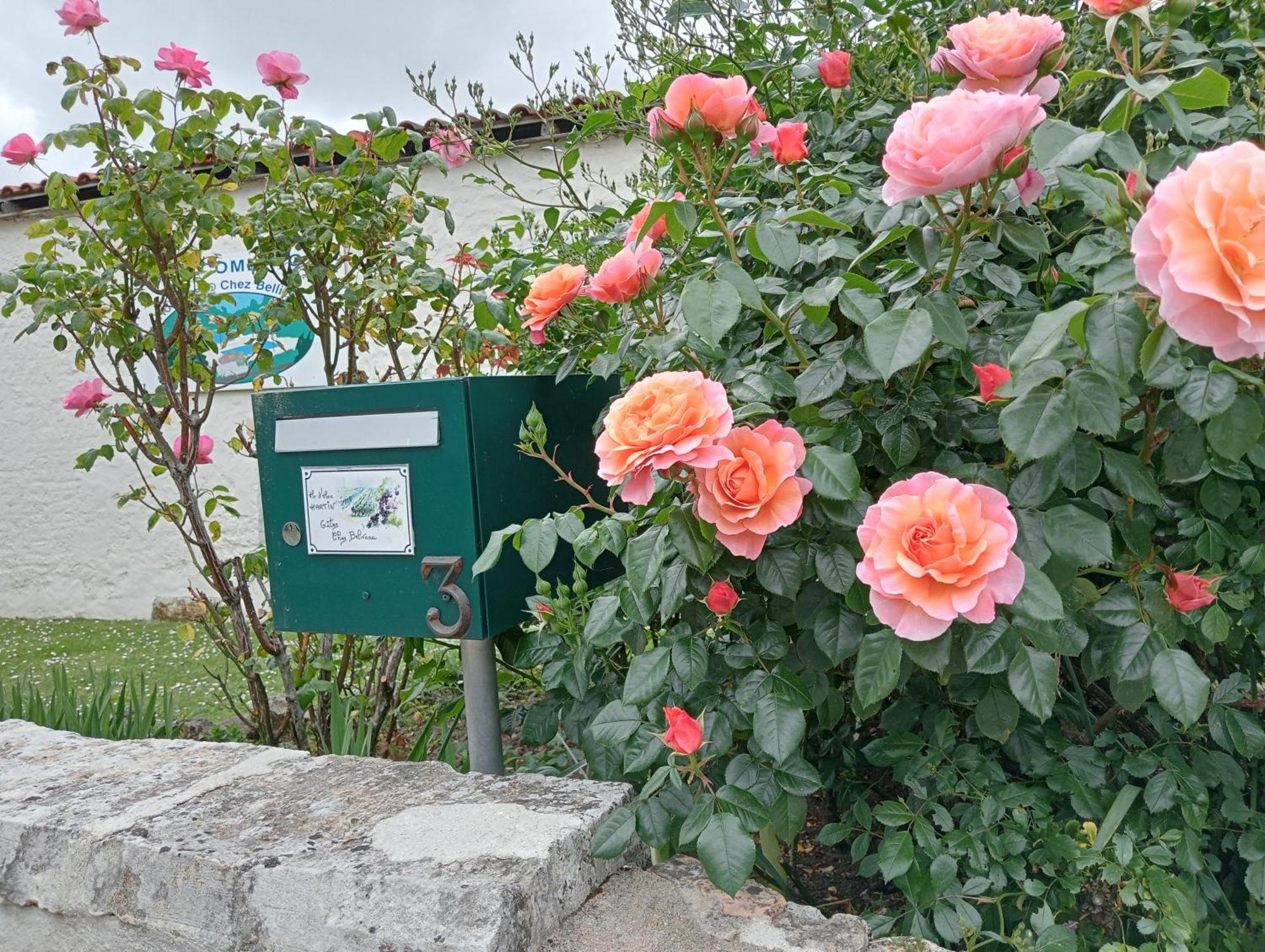 Gites Chez Belliveau Meursac Kültér fotó