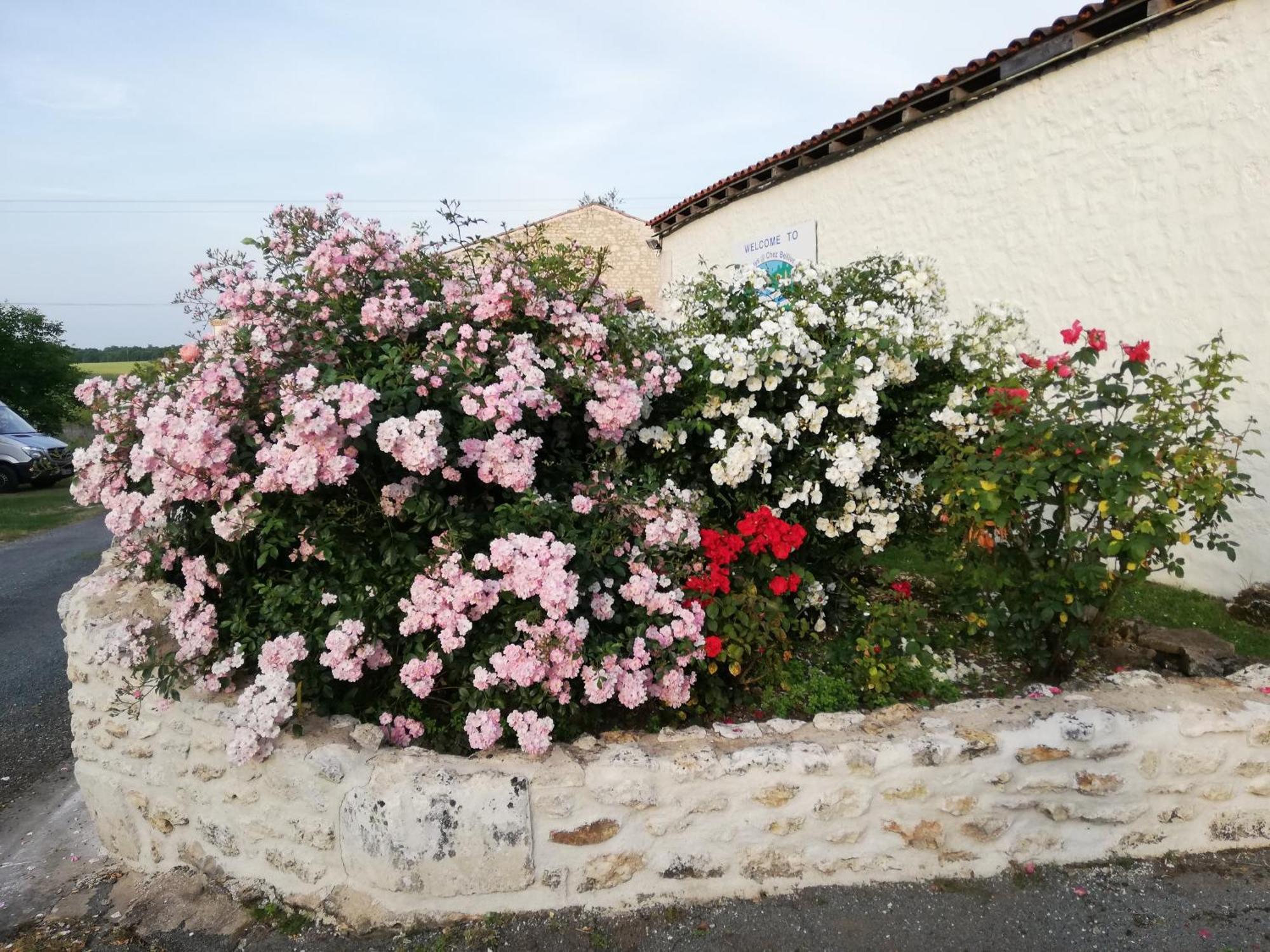 Gites Chez Belliveau Meursac Kültér fotó